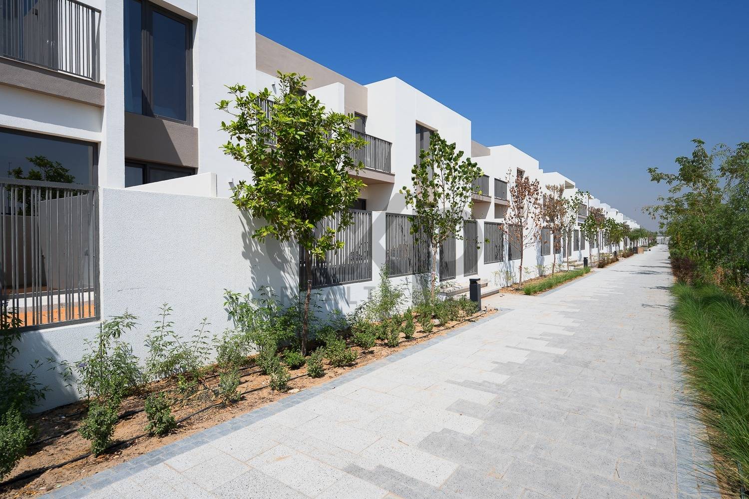 Single Row I Backing Greenery I Landscaped Garden