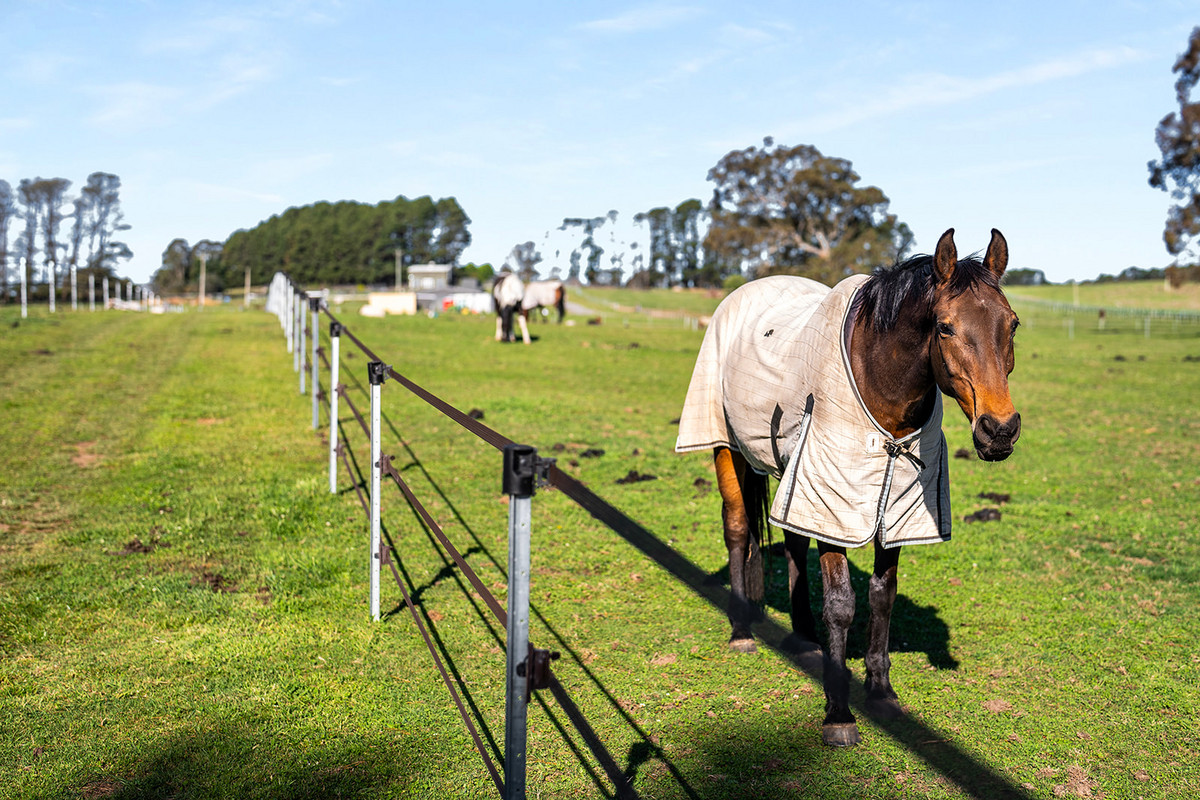 Rural lifestyle with Equestrian and events infrastructure!