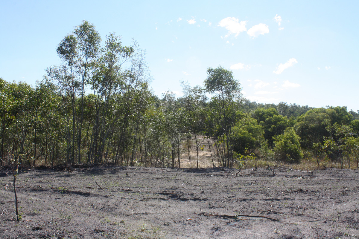 140 ACRES of NEW COUNTRY WITH WATER