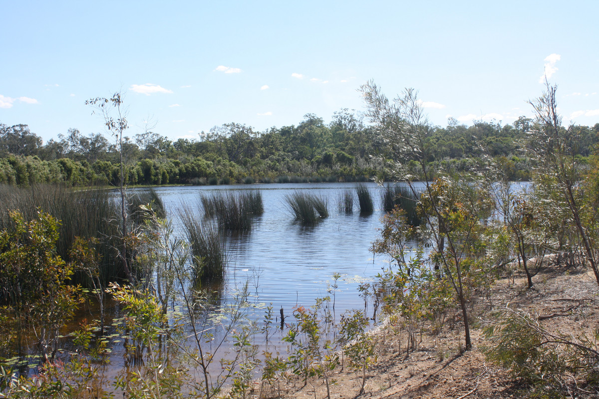 140 ACRES of NEW COUNTRY WITH WATER