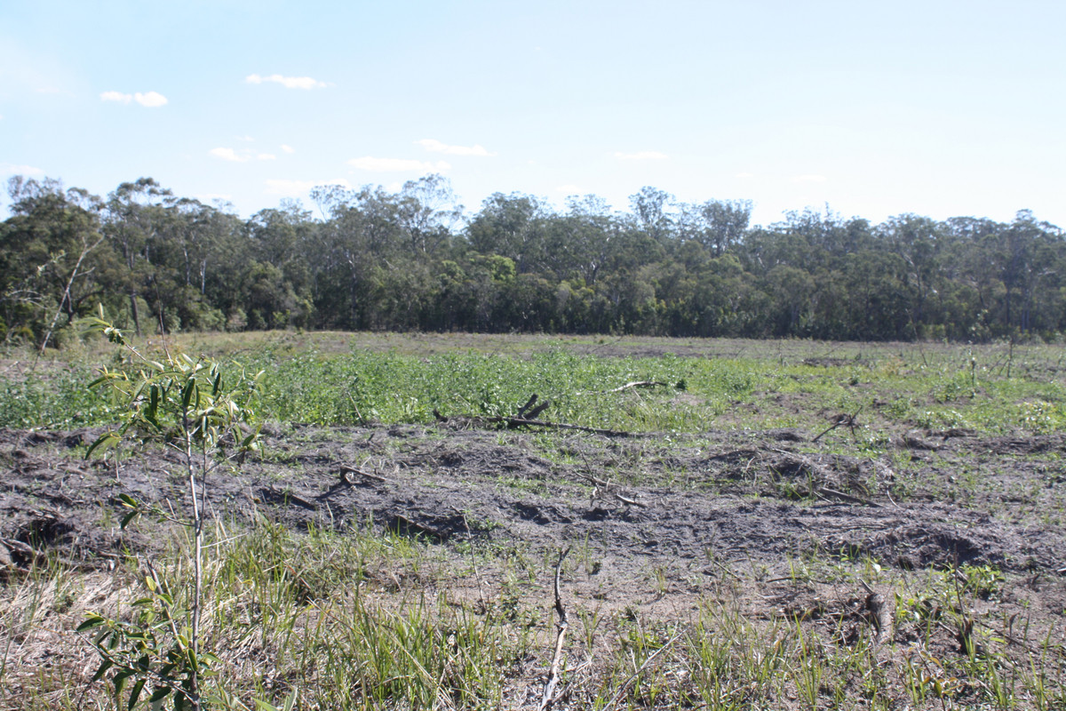 140 ACRES of NEW COUNTRY WITH WATER