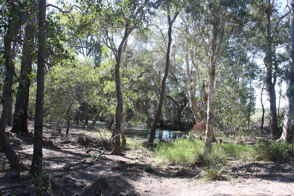 140 ACRES of NEW COUNTRY WITH WATER