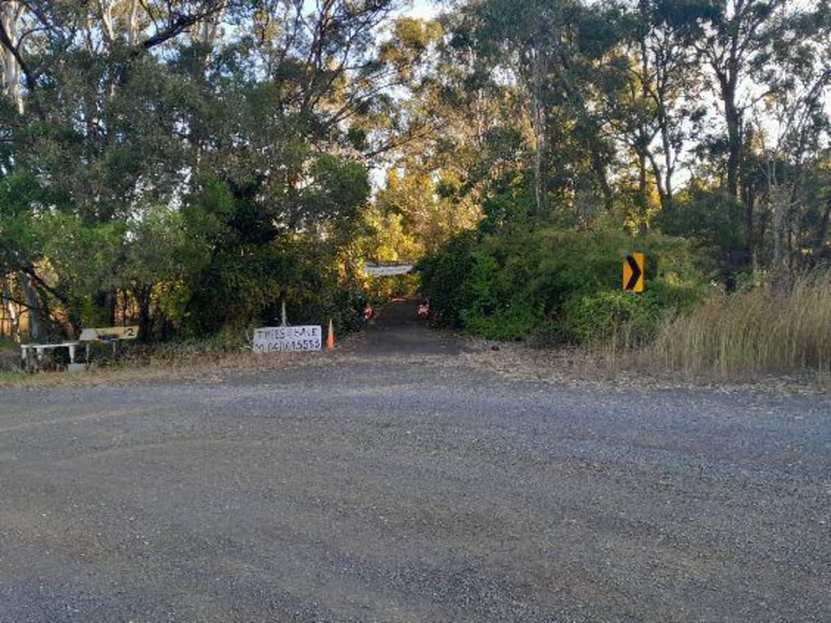 Prime 55 Acre Land Opportunity – Wetlands, Wildlife, and Strategic Location