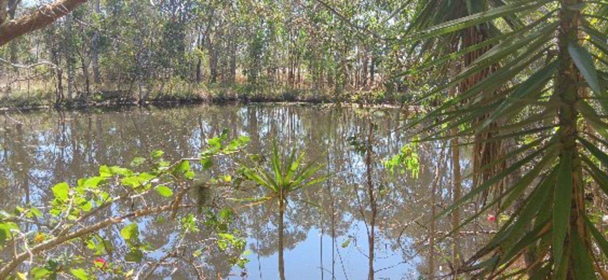 Prime 55 Acre Land Opportunity – Wetlands, Wildlife, and Strategic Location