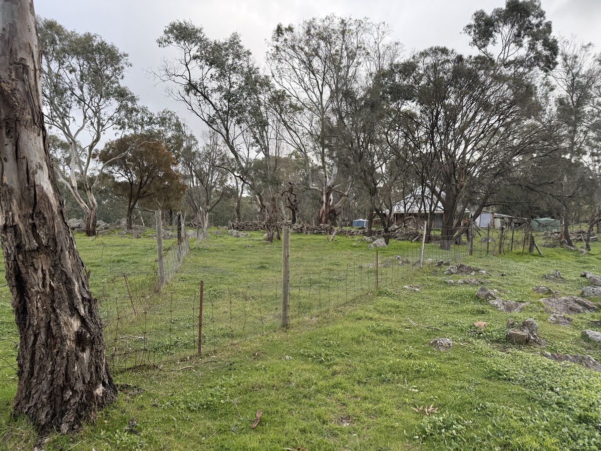 Your Off-Grid Lifestyle Opportunity Awaits