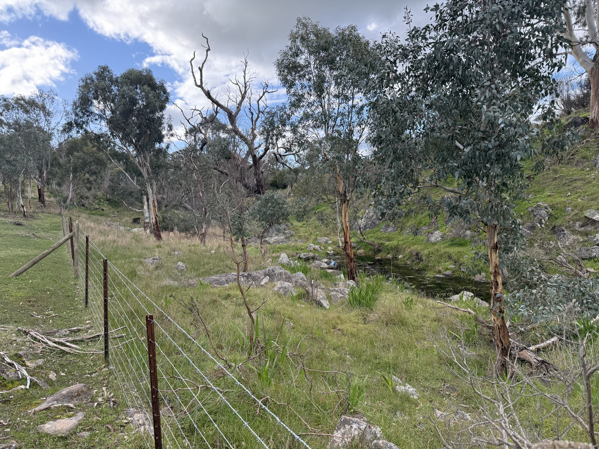 Your Off-Grid Lifestyle Opportunity Awaits
