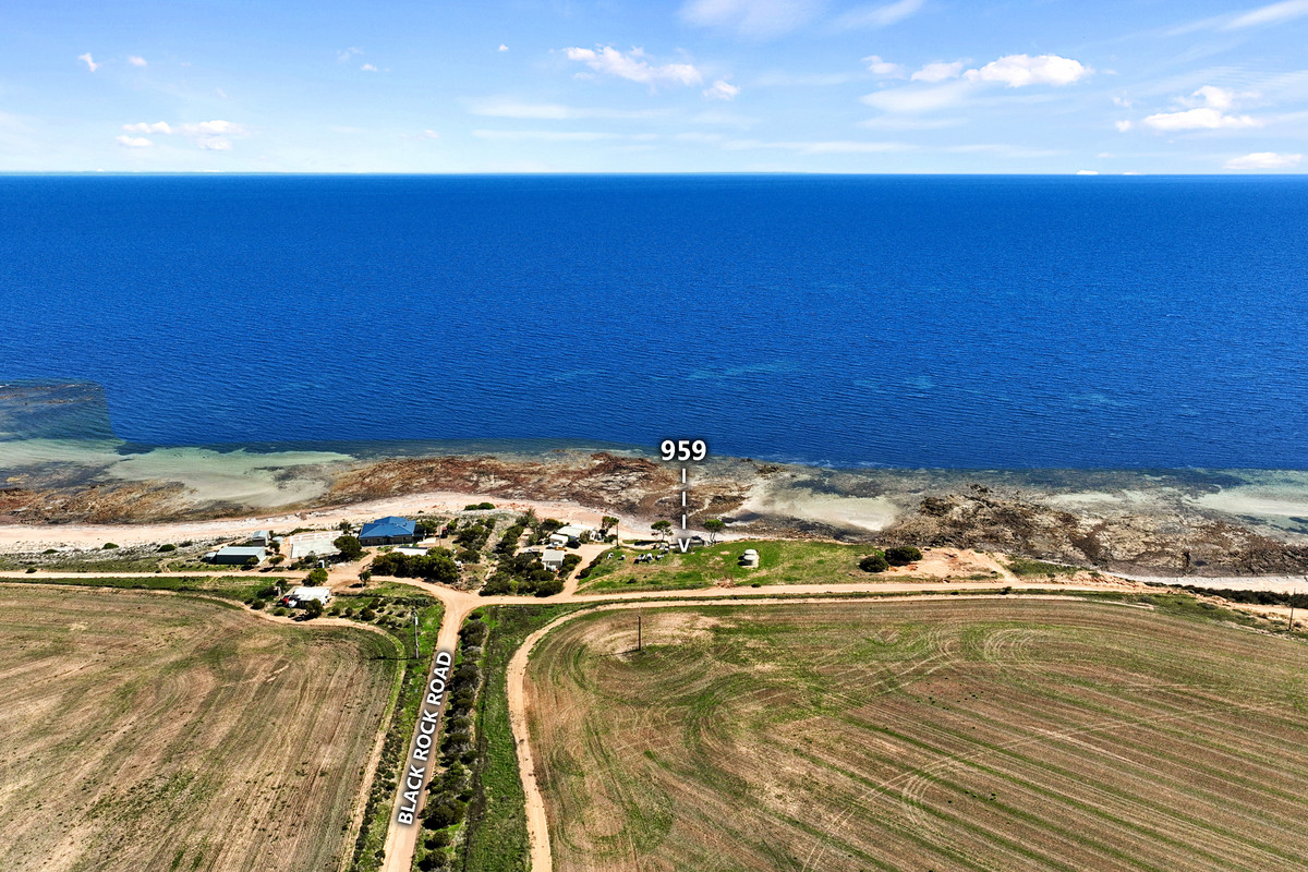 Beachfront shack - OPEN Sat 6th June