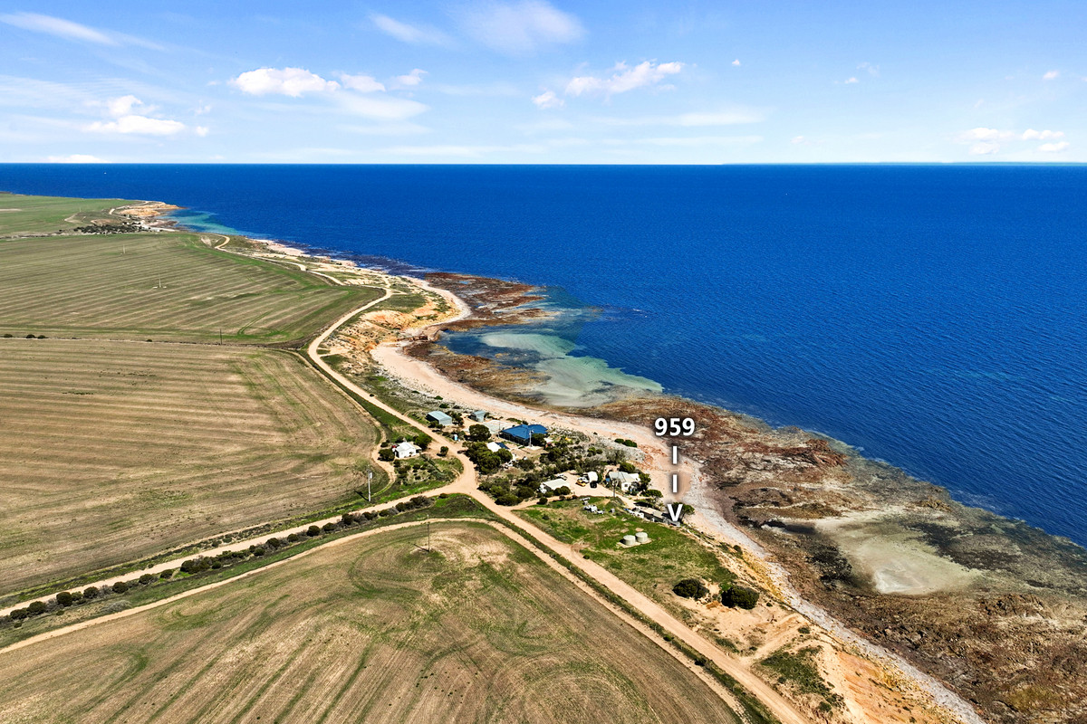 Beachfront shack - OPEN Sat 6th June