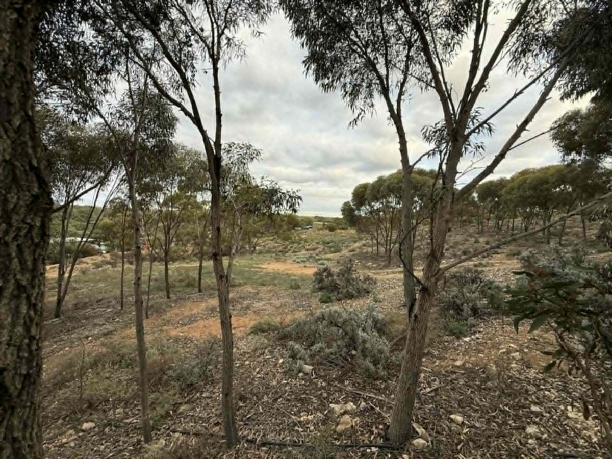 Ultimate river escape 1318 M2