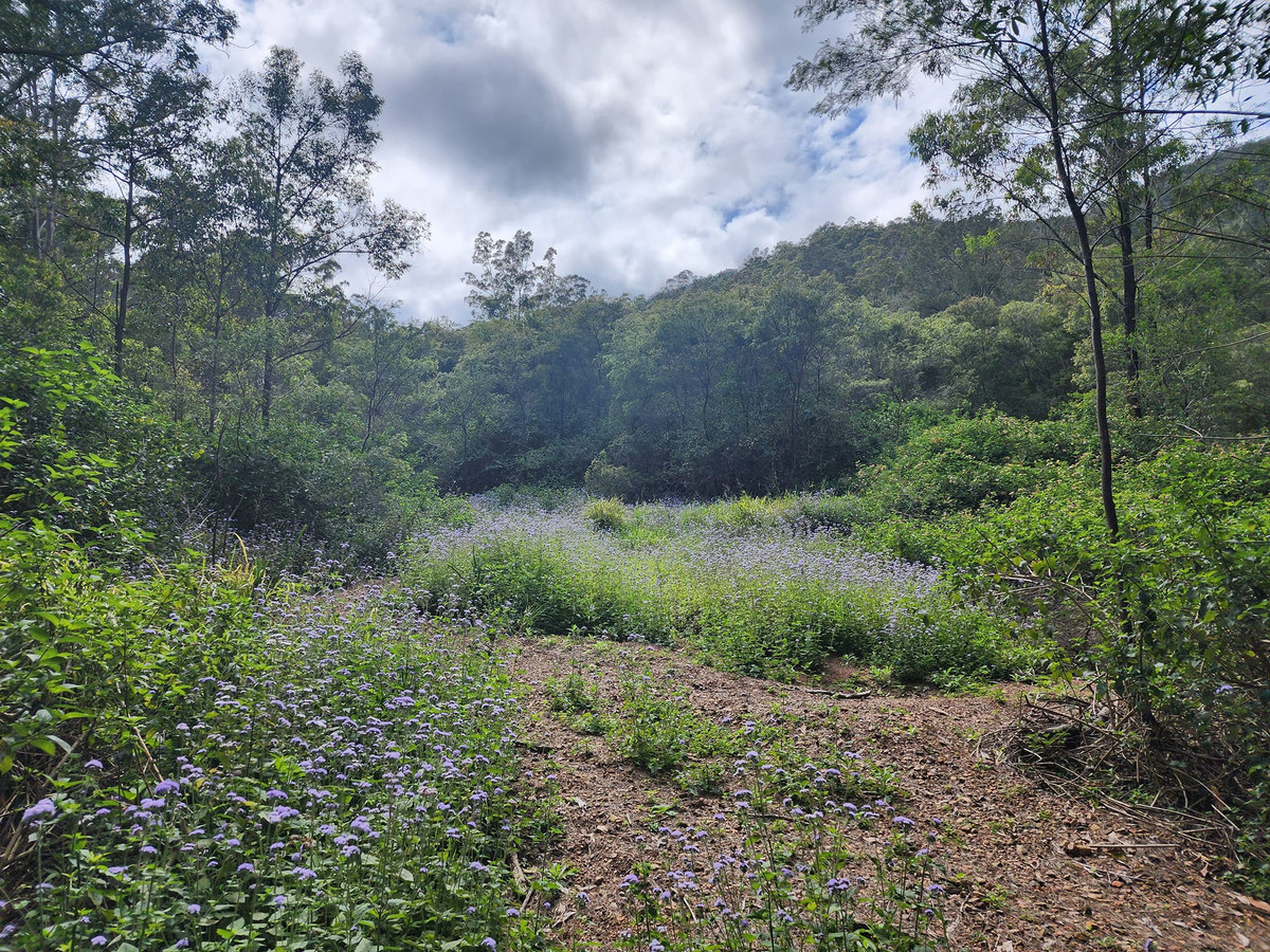 Discover Your Slice of Serenity