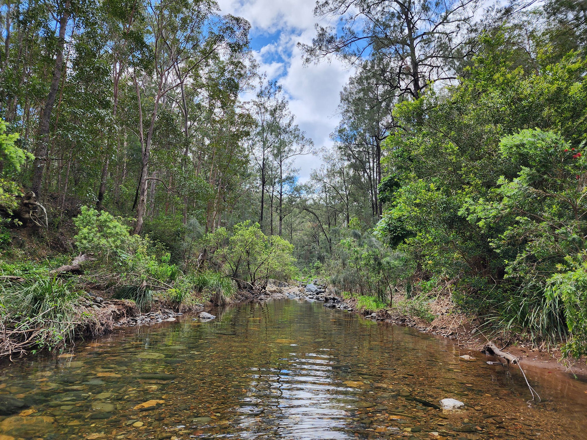 Discover Your Slice of Serenity