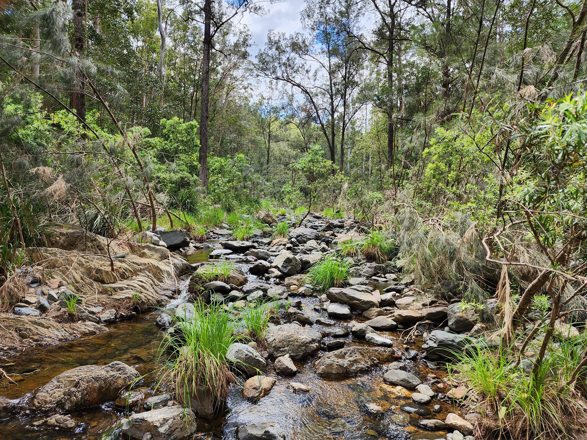 Discover Your Slice of Serenity