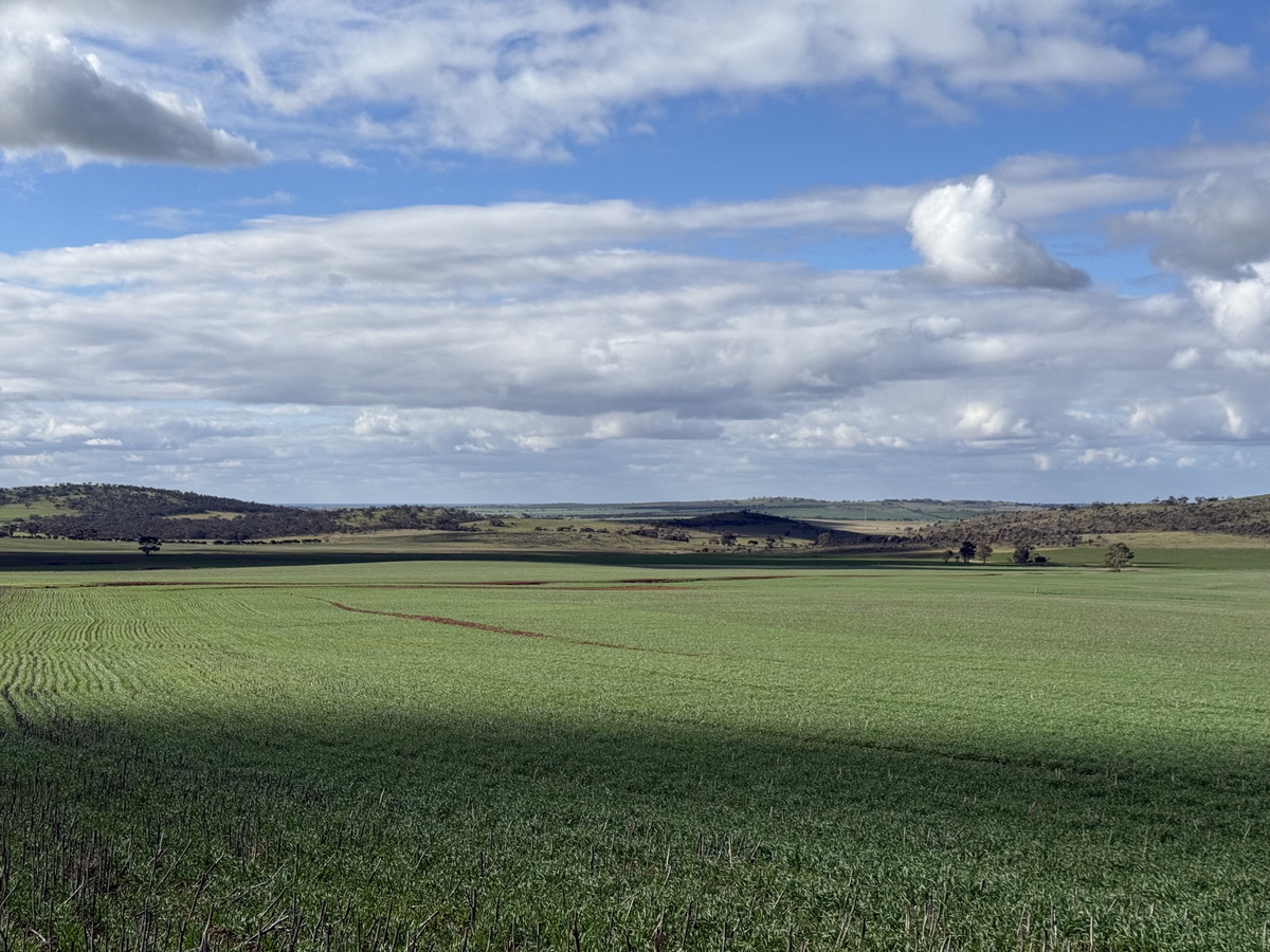 Quality Cropping Land | Expand or Establish