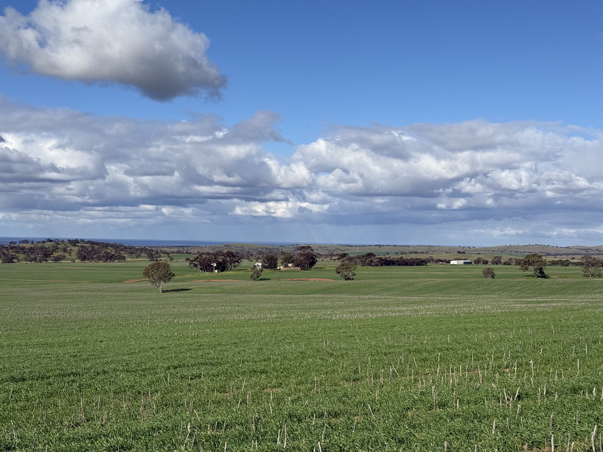 Quality Cropping Land | Expand or Establish