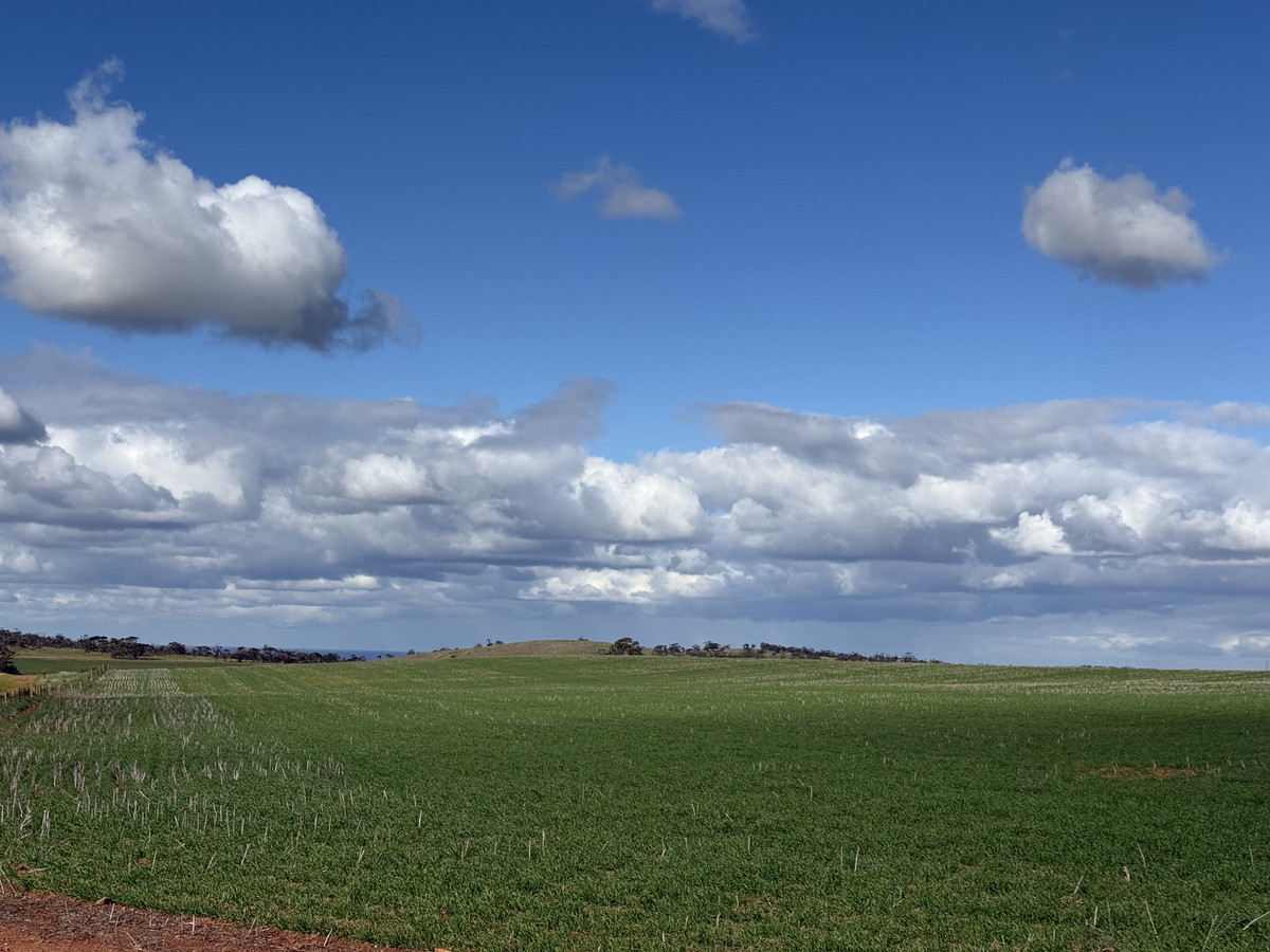 Quality Cropping Land | Expand or Establish