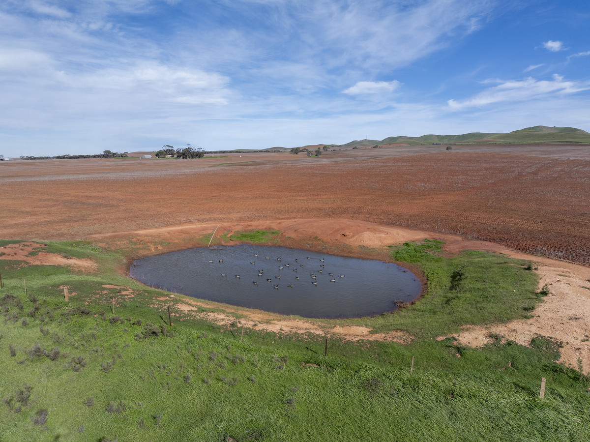 Quality Cropping Land | Expand or Establish
