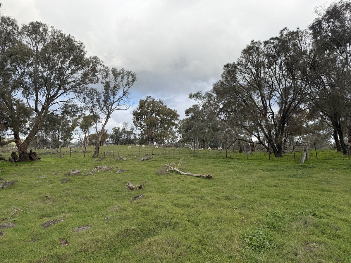 Land for sale in Mount Mckenzie, 219 Sugar Loaf Hill Road, Mount Mckenzie SA 5353, 6 ha