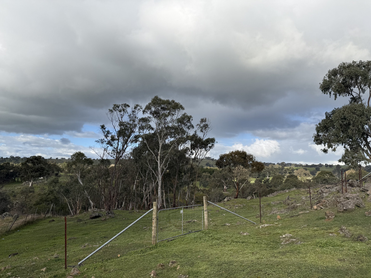 Land for sale in Mount Mckenzie, 219 Sugar Loaf Hill Road, Mount Mckenzie SA 5353, 6 ha