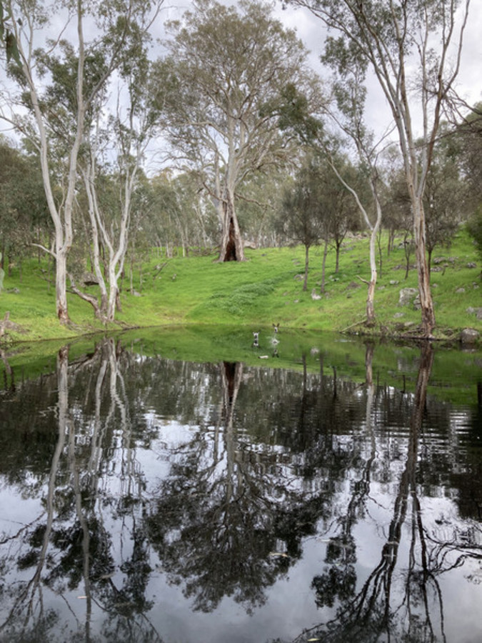 13.81 Acres with Approved DA & Sweeping Northern Lofty Ranges Views