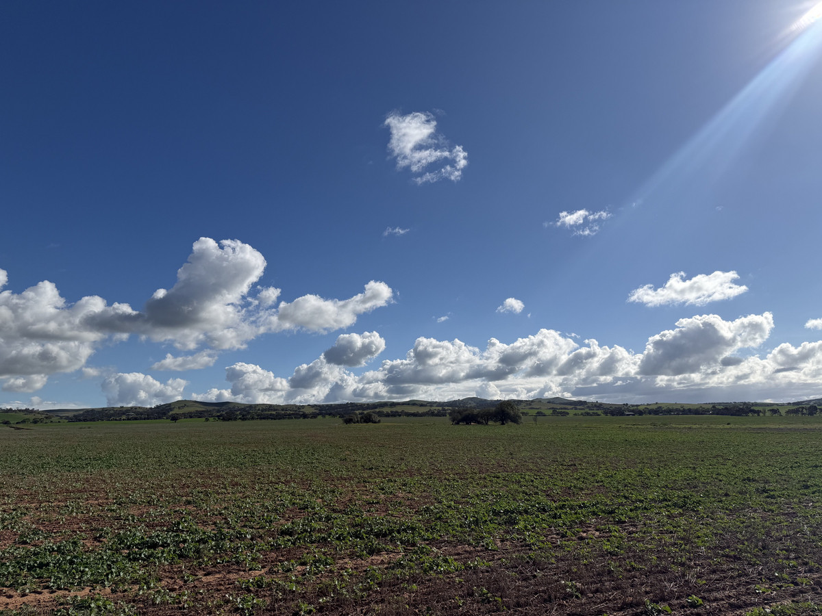 Reliable Cropping Country with Mains Water