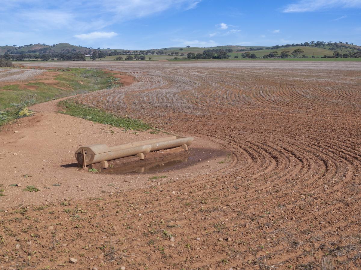 Reliable Cropping Country with Mains Water