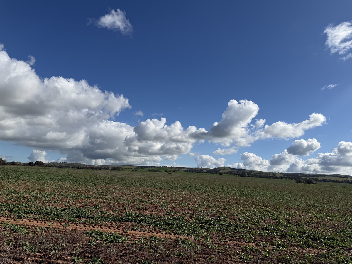 Reliable Cropping Country with Mains Water