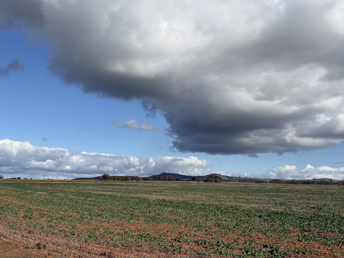 Reliable Cropping Country with Mains Water