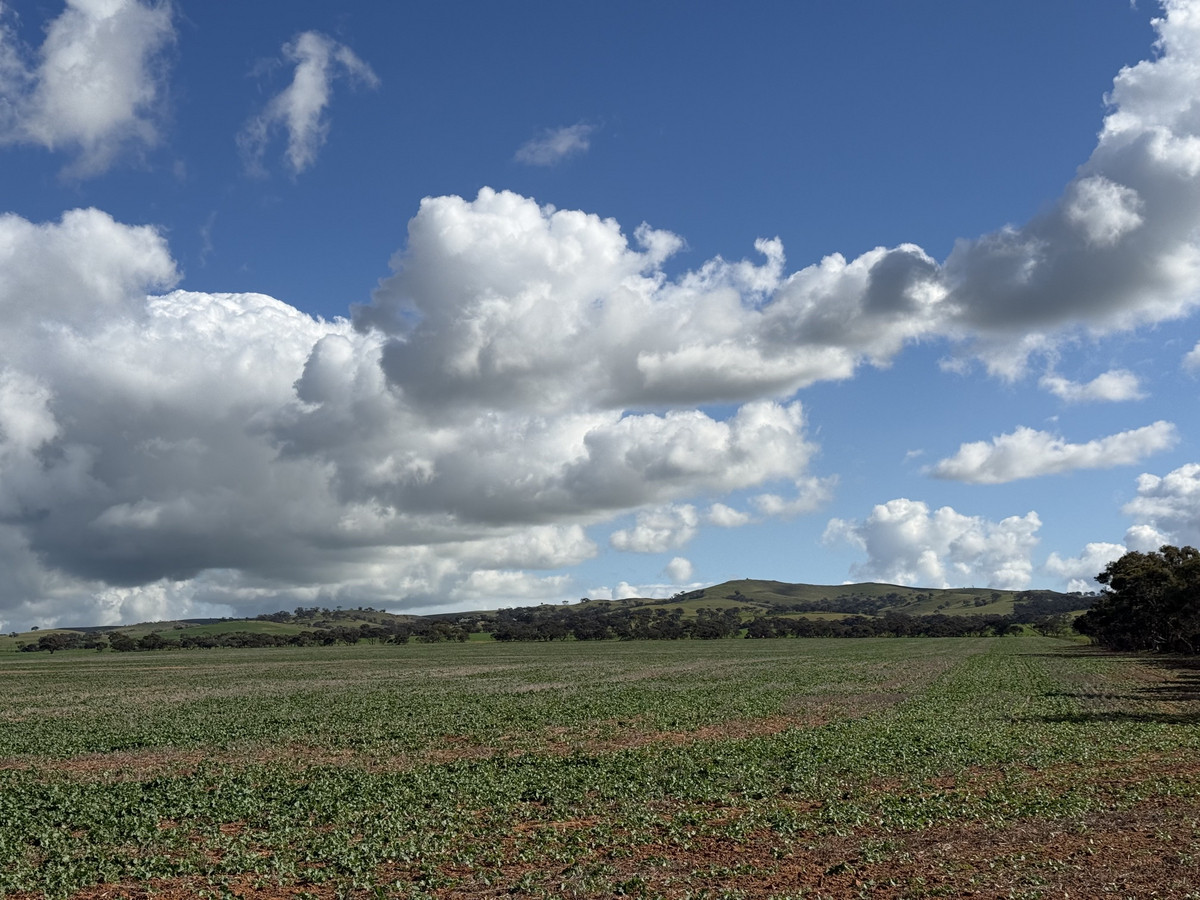 Reliable Cropping Country with Mains Water