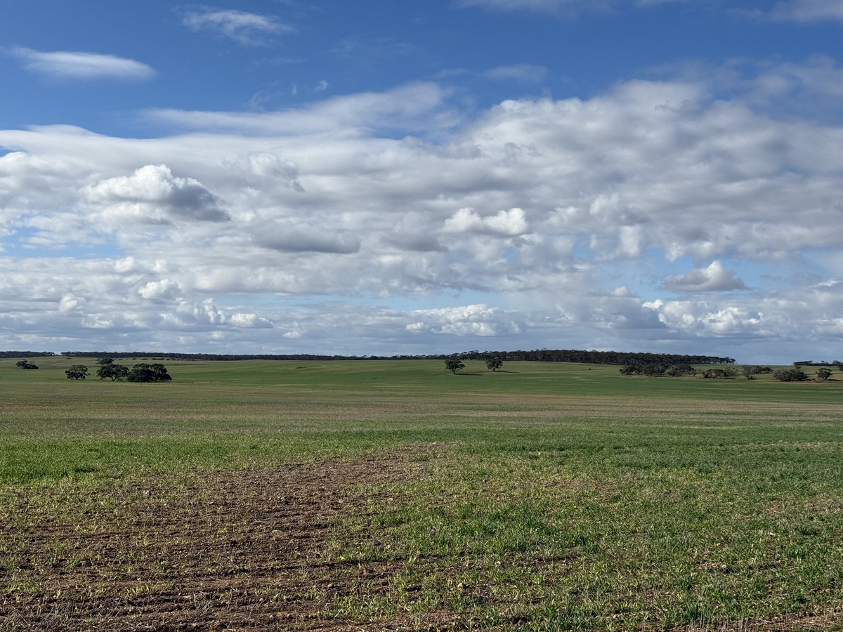 Rural for sale in Neales Flat, 305 Goyder Road, Neales Flat SA 5374, 484 ac
