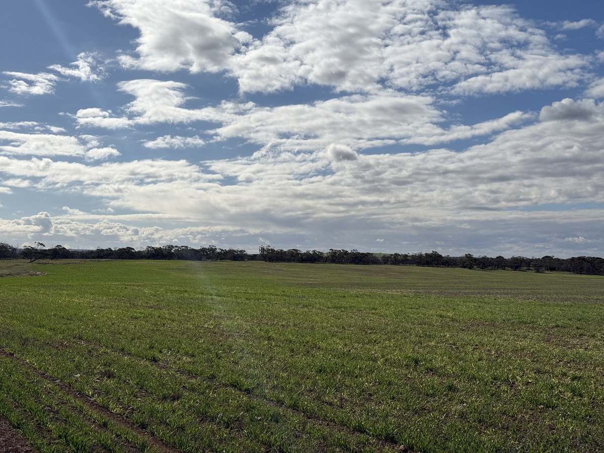 Scale Up in Proven Farming Country