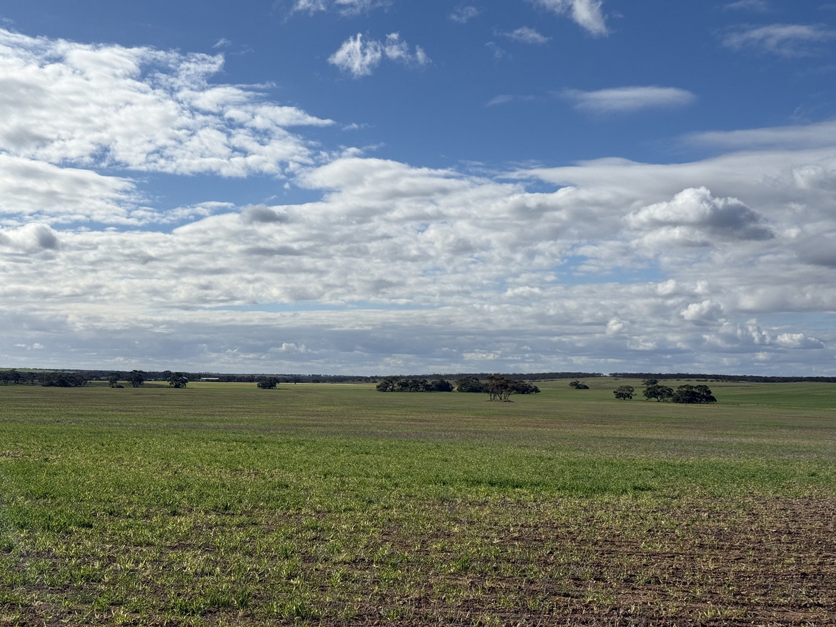 Scale Up in Proven Farming Country