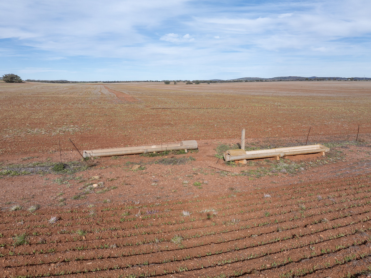 Scale Up in Proven Farming Country