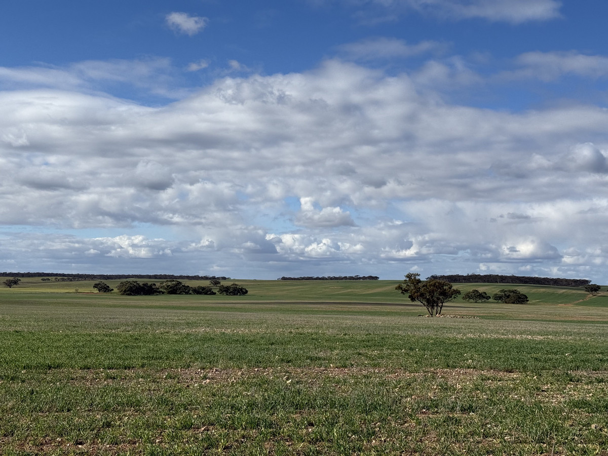 Scale Up in Proven Farming Country