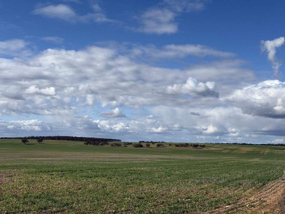 Scale Up in Proven Farming Country