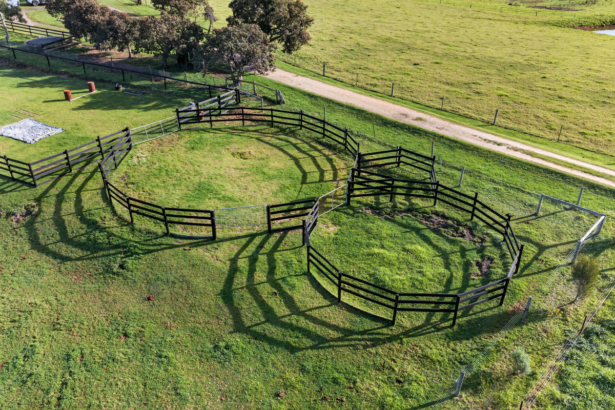 Country Charm on 5 Acres