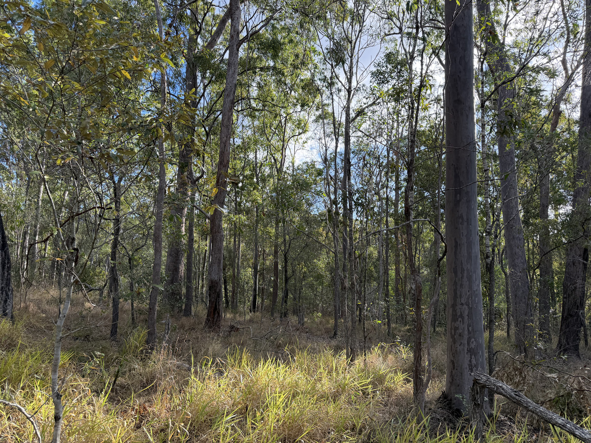 Land for sale in Glenwood, Lot 753 Arbortwentyeight Road, Glenwood QLD 4570, 2 ha