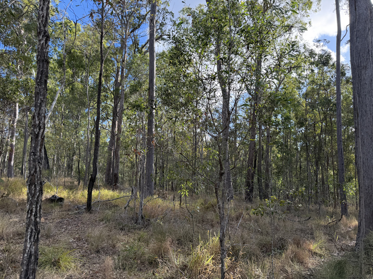 Don’t just dream about your rural escape — make it yours today! 4