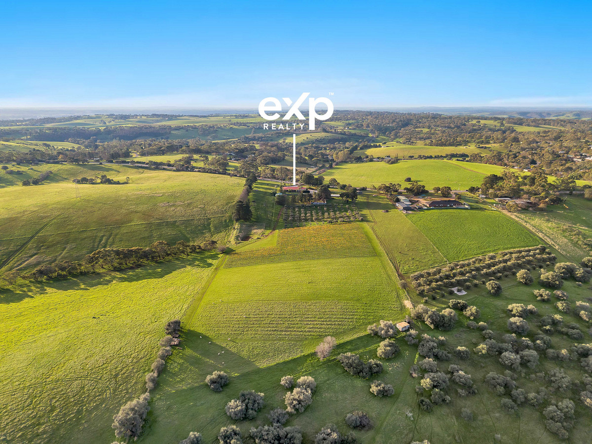 🌿 20 Acres of Privacy, Prestige & Endless Possibilities – A Rare Hills Lifestyle Opportunity Only 40 Minutes from the CBD