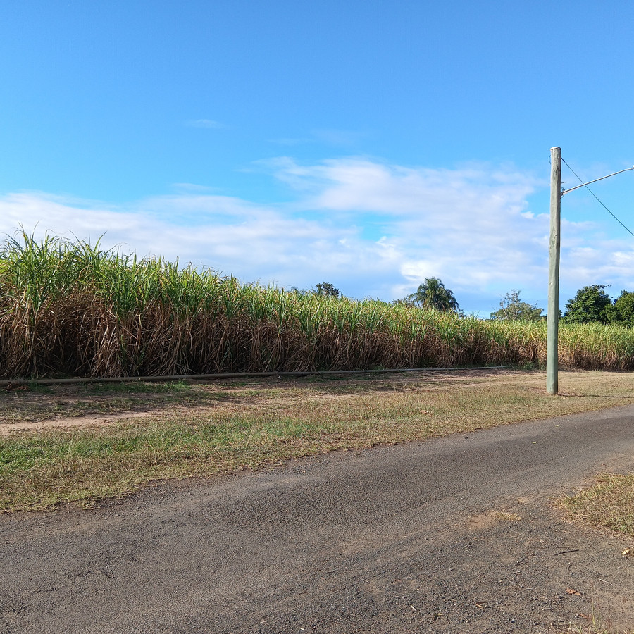 Ideal Development Farm