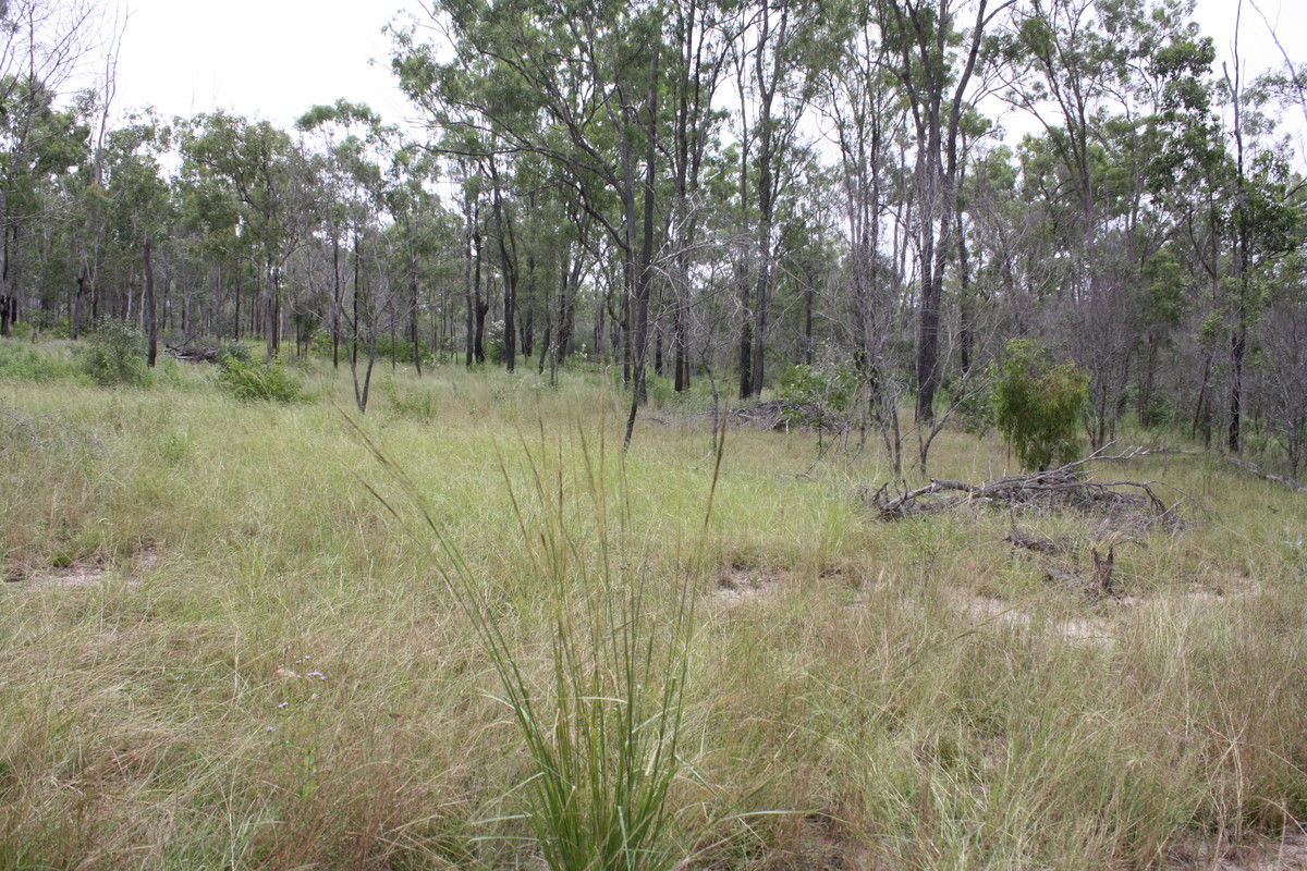 Great starter block on the Bruce Highway