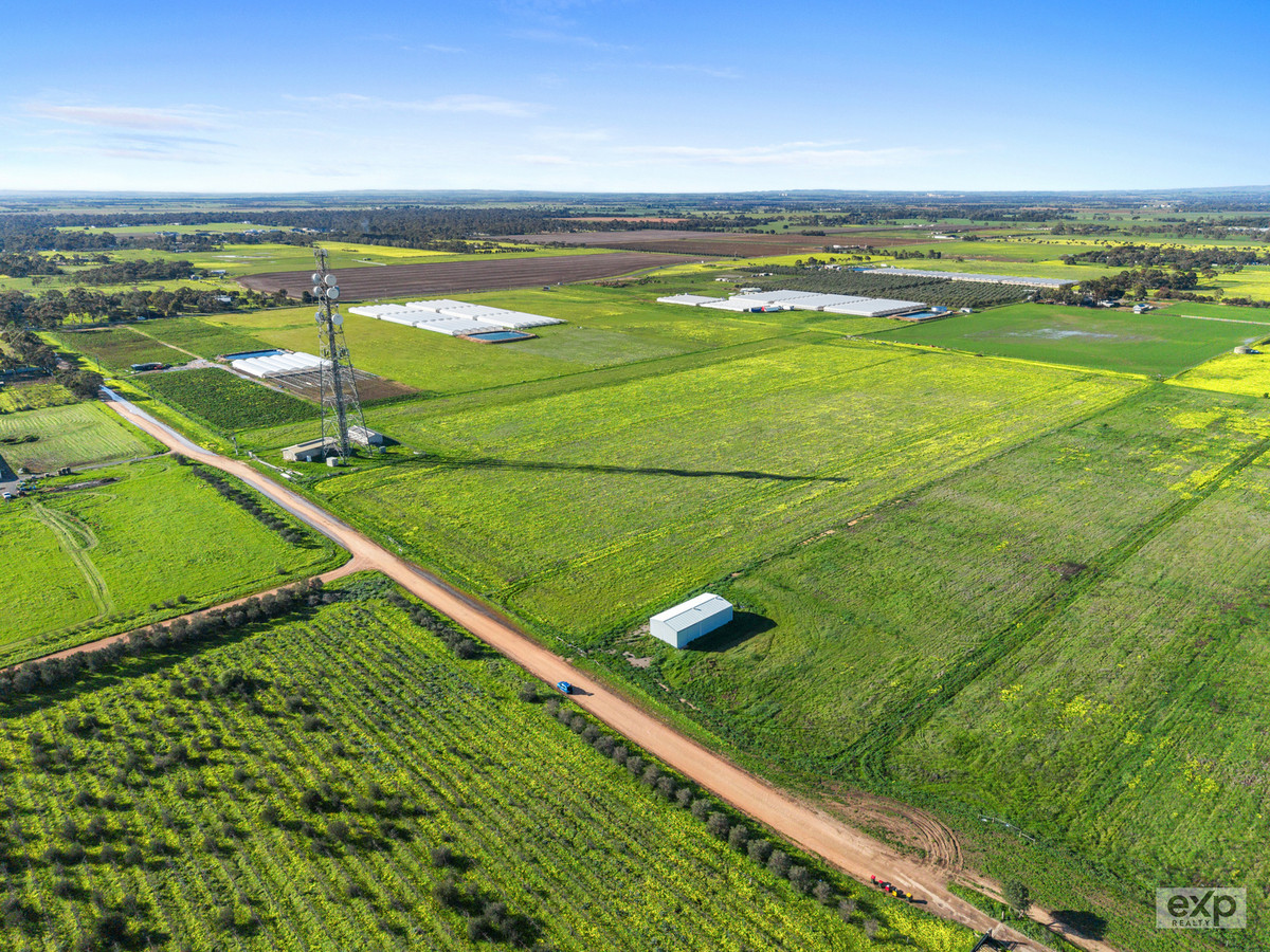 2 Prime Horticulture Allotments available