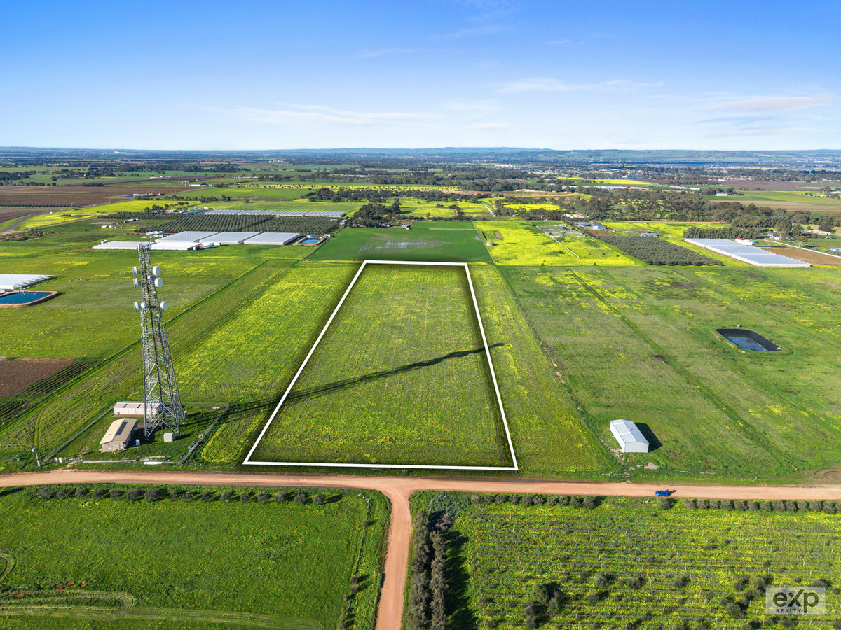 2 Prime Horticulture Allotments available