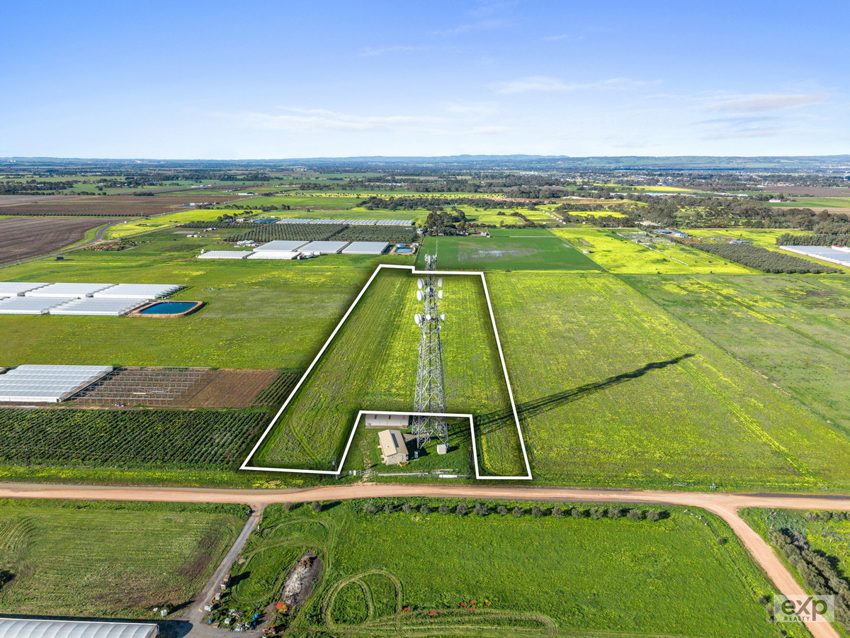 2 Prime Horticulture Allotments available