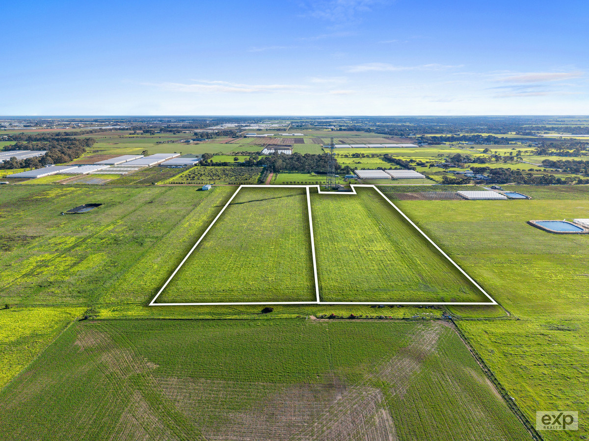 2 Prime Horticulture Allotments available