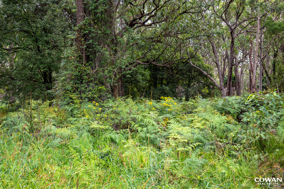 Coastal Acreage Opportunity in Pindimar – Just 195m from the Water