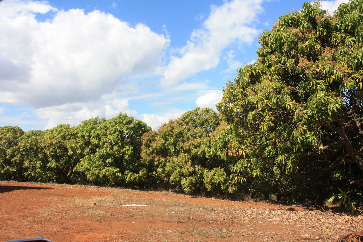 Rural for sale in Redhill Farms, 4 Mount Misery Road, Redhill Farms QLD 4671