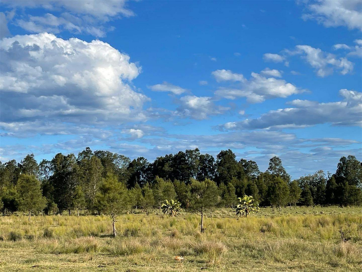 Rural for sale in Cudgen, Tweed River Islands, Cudgen NSW 2487