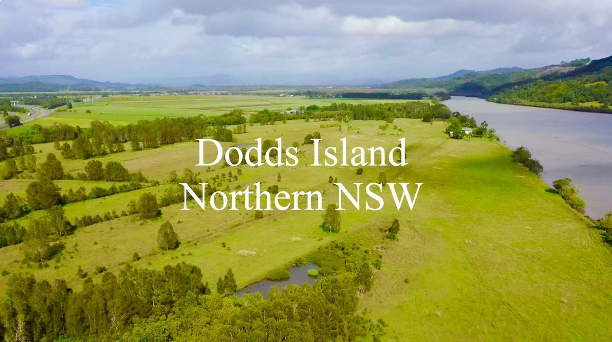 Land for sale in Chinderah, Dodds Island, Chinderah NSW 2487