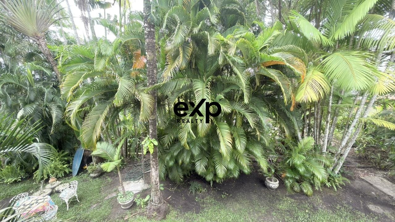 Casa à venda em Cairu, Quarta Praia, Vila Coco 100 Morro de São Paulo Cairu 45420-000, 310 m²