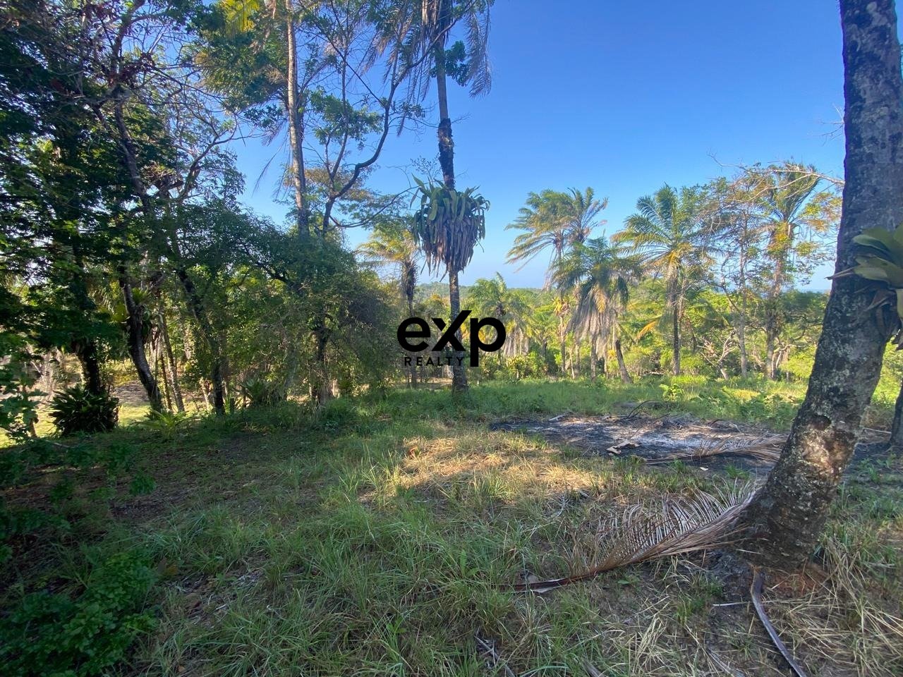 Terreno Exclusivo com Vista Panorâmica para o Mar em Condomínio Fechado